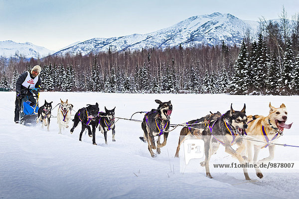 Rondy World Championship Sled Dog Race runs through Campbell Airstrip with the Chugach Mountains in the background  Anchorage  Southcentral Alaska  Winter.