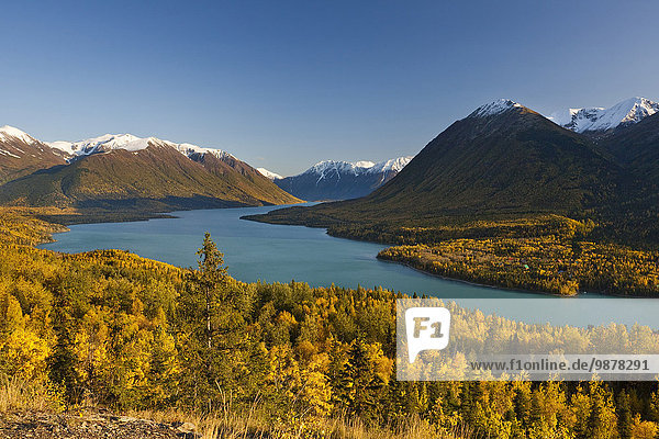nahe Landschaftlich schön landschaftlich reizvoll See Ansicht landen Kenai-Fjords-Nationalpark Alaska Küfer Kenai-Halbinsel