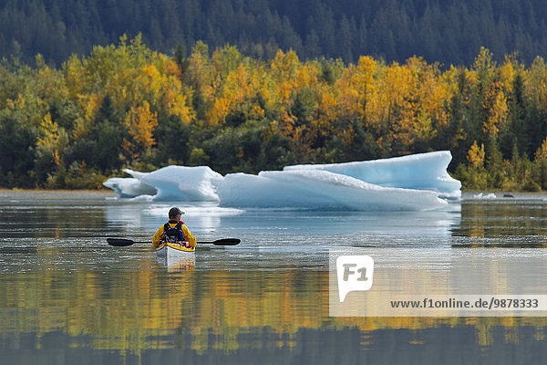 Sea Kayaker Views An Iceberg On The Calm Water Of Mendenhall Lake Near Juneau  Southeast Alaska  Autumn