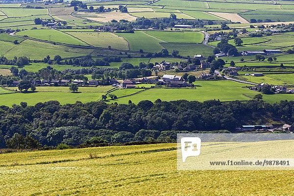 gelb grün Feld England North Yorkshire
