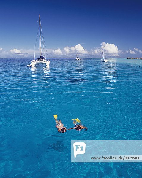 'Snorkelling; Tahiti'