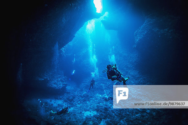 'Cave diving; Palau  Micronesia'