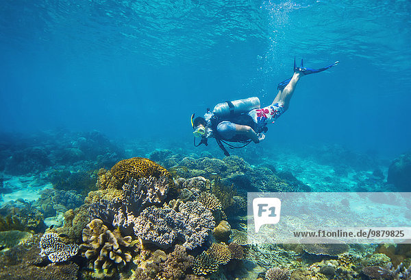 'Scuba diving off the coast of Timor-Leste; Timor-Leste'