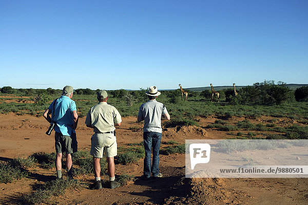 'Walking safari  Samara Private Game Reserve; South Africa'