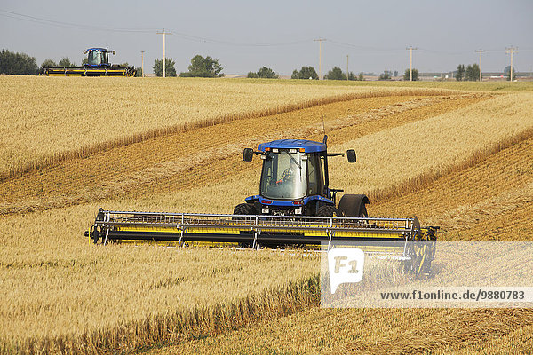 schneiden Feld 2 Weizenfeld Alberta Kanada