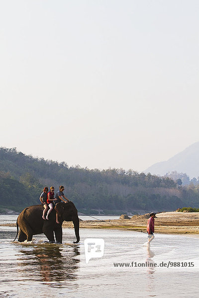 Außenaufnahme fahren Fluss Elefant Backpacker mitfahren