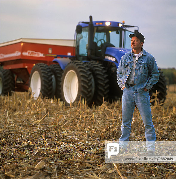 hinter Kornfeld Getreide denken Landwirtschaft Traktor ernten Bauer Kanada Abenddämmerung Ontario