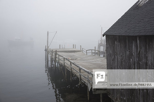 Amerika Boot Nebel Dock Verbindung Hummer Maine New Harbor