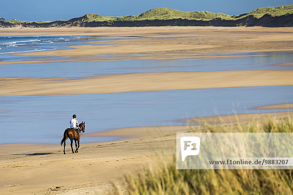 'Horse and rider on beach with grassy sand dunes and blue sky; Count Clare  Ireland'