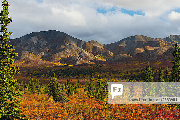 Farbaufnahme Farbe Berg Amerika Wolke Sturm Herbst Verbindung Denali Nationalpark Alaska Laub