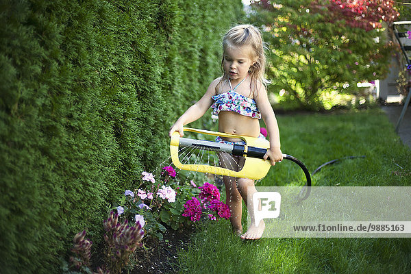 A young girl enjoying the sprinkler on a hot day; Surrey  British Columbia  Canada