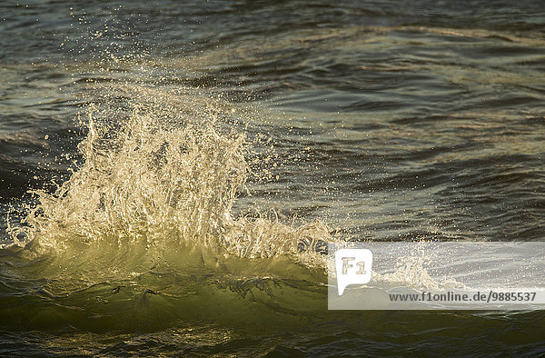 Amerika beleuchtet Sonnenlicht zerbrechen brechen bricht brechend zerbrechend zerbricht Verbindung Cannon Beach Oregon Wasserwelle Welle