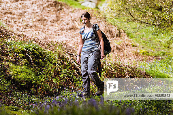 Young female hiker walking down path  Pateley Bridge  Nidderdale  Yorkshire Dales