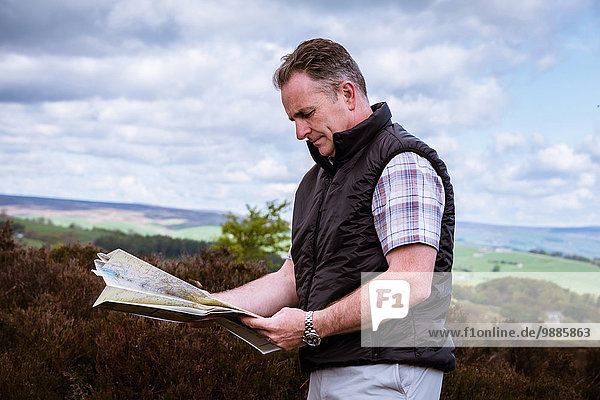 Männliche Wanderer lesen Karte auf Heidemoor  Pateley Bridge  Nidderdale  Yorkshire Dales