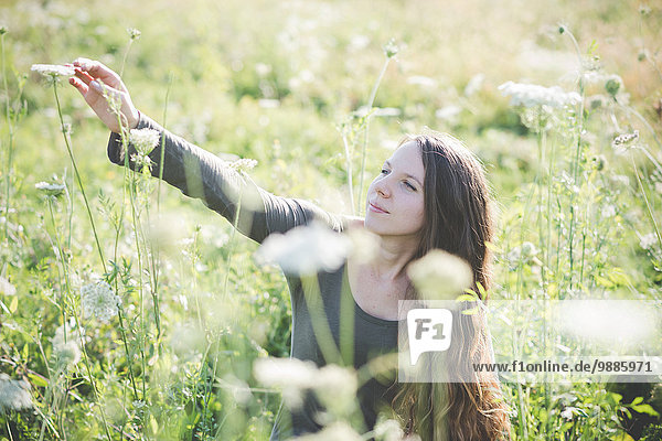 Junge Frau pflückt wilde Blumen auf dem Feld