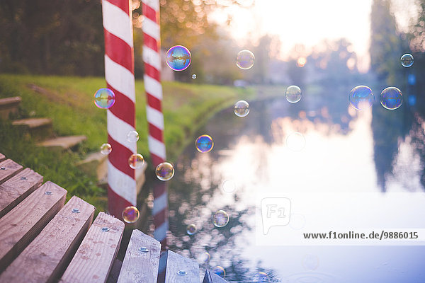 Bubbles schwimmend am Fluss  Dolo  Venedig  Italien