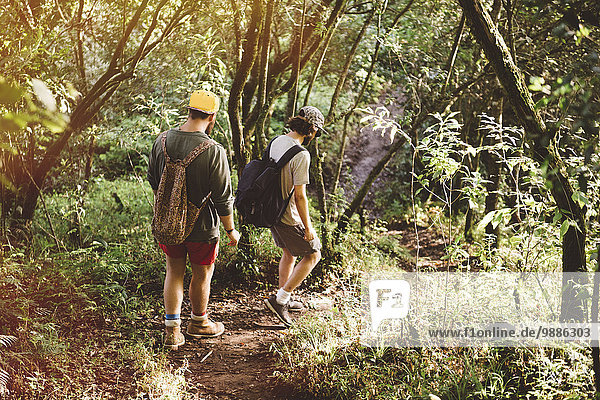 Two young male friends hiking in rain forest at Lake Atitlan  Guatemala