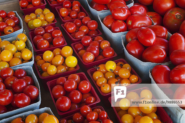 Tomate verkaufen Kanada Quebec Straßenrand