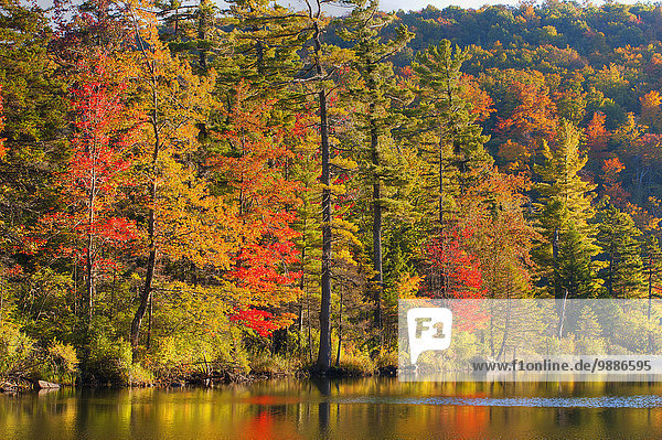 Farbaufnahme Farbe Herbst Bäcker Kanada Teich Quebec
