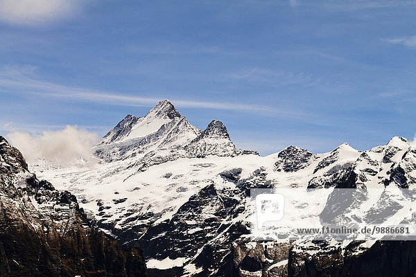 Berner Oberland Grindelwald Schweiz