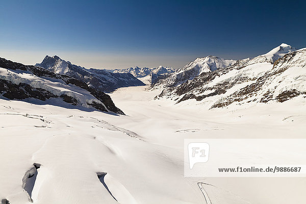 Ansicht Berner Oberland Schweiz Aletschgletscher