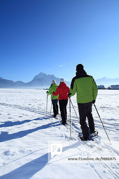 Three persons with snow shoes  Tegelberg  Ammergau Alps  Allgaeu  Bavaria  Germany  Europe