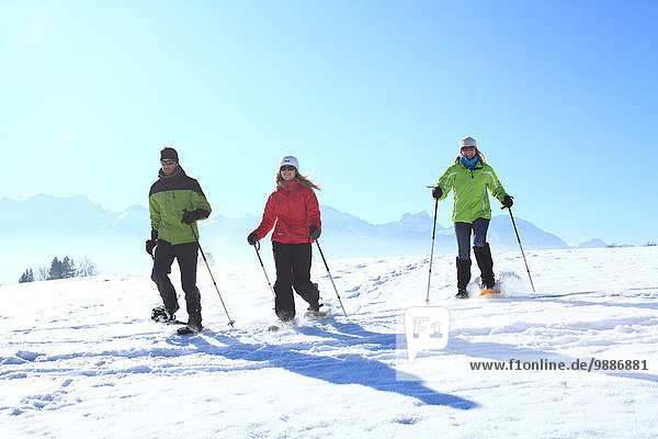 Three persons with snow shoes  Tegelberg  Ammergau Alps  Allgaeu  Bavaria  Germany  Europe