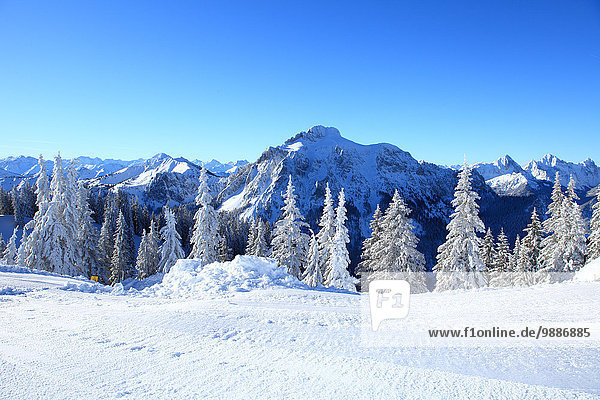 Tegelberg im Winter  Ammergauer Alpen  Allgäu  Bayern  Deutschland  Europa