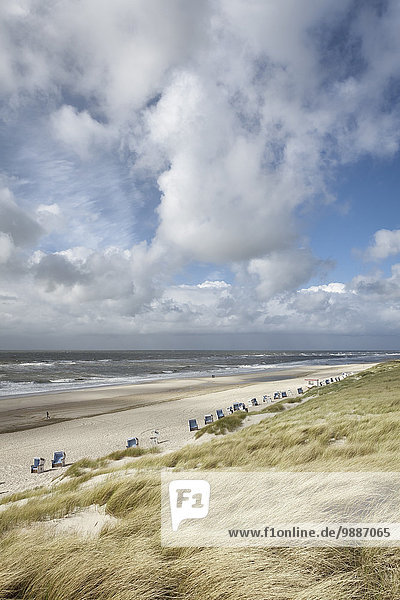 Dunes  Sylt  Schleswig-Holstein  Germany  Europe