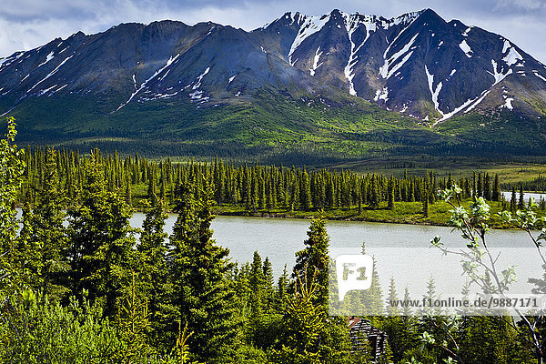 Landschaftlich schön landschaftlich reizvoll Blockhaus Sommer Hintergrund Fluss Ansicht vorwärts Alaska alt
