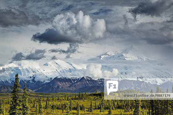 Nationalpark, Landschaftlich schön, landschaftlich reizvoll, Wolke, Sommer, über, Sturm, Ansicht, Denali Nationalpark, Mount McKinley