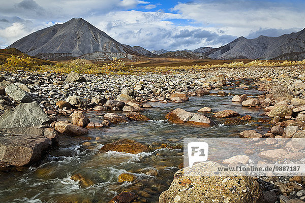 Nationalpark Landschaftlich schön landschaftlich reizvoll Herbst Eingang Bach Ansicht Arktis