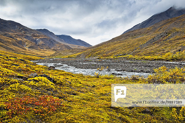 Nationalpark Farbaufnahme Farbe Tal Herbst Eingang Bach Arktis
