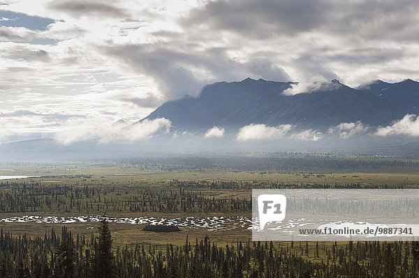 Landschaftlich schön landschaftlich reizvoll Berg Wald Hintergrund Ansicht Teich Tundra
