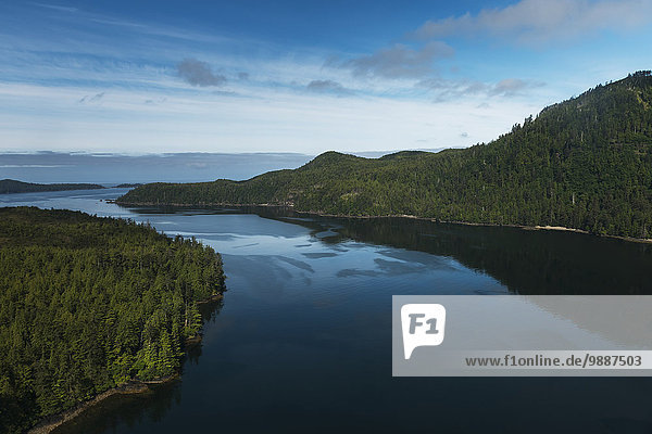 Wasser Wald Insel Dummheit British Columbia Kanada