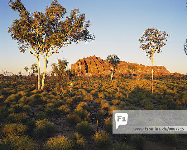 entfernt, Felsbrocken, Anordnung, Outback - Australien, Australien, Northern Territory