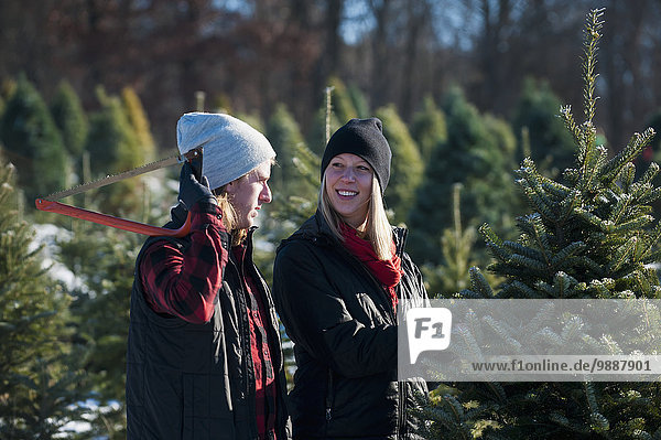 A couple choosing and cutting a fresh Christmas tree at a Christmas tree farm; Minnesota  United States of America