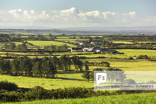 Wolke Baum Himmel Feld blau Wiese flach Clare County Irland