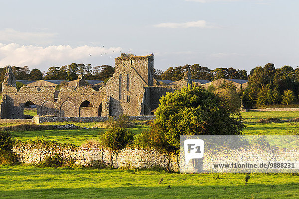Stein Ruine Feld Zaun Wiese Cashel County Tipperary Irland