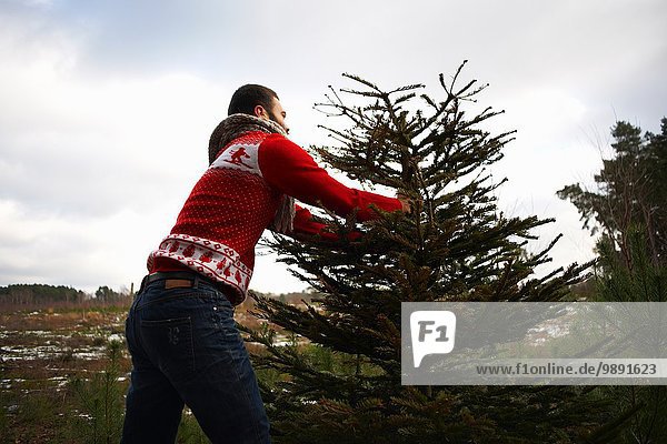 Young man preparing to lift Christmas tree in woods