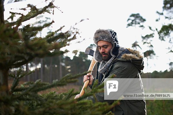 Young man chopping Christmas tree in forest