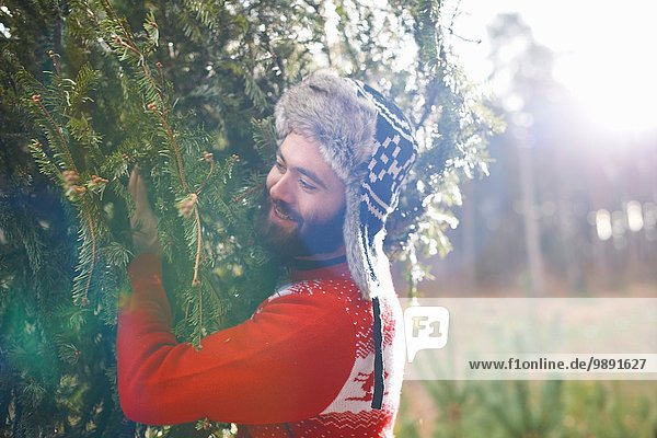 Young man carrying Christmas tree on shoulders in woods
