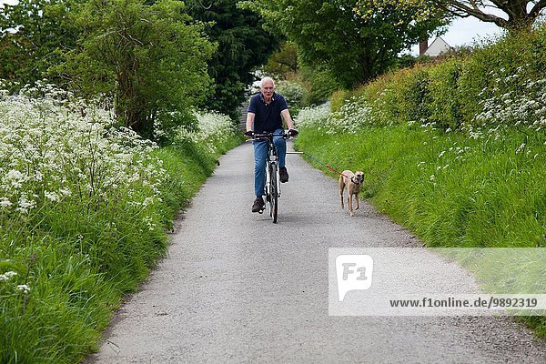 Senior man riding bike on country lane with dog