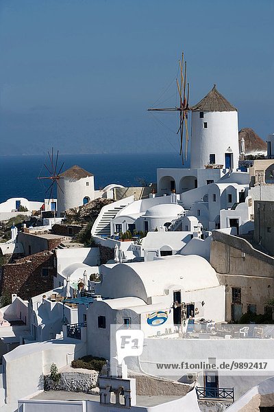 Blick auf weiß gewaschene Bergstadt und Windmühle  Oia  Santorini  Kykladen  Griechenland