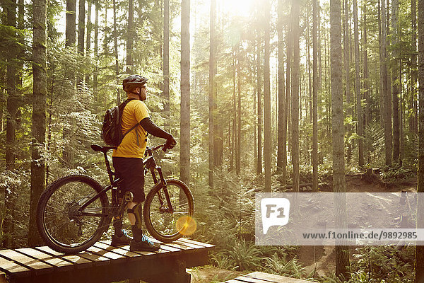 Erwachsener Mann stehend mit Mountainbike  im Wald  Rückansicht