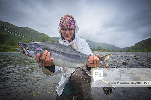 Fisherwoman holding up caught pink salmon in river  Kodiak  Alaska  USA