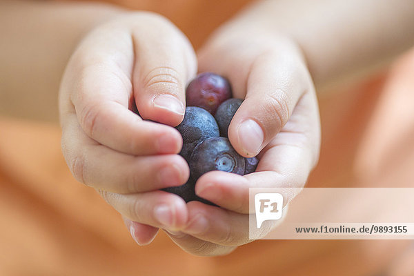 Close up of male toddlers hands holding blueberries