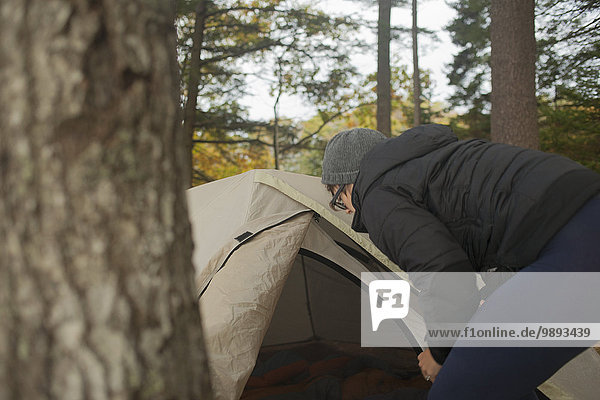 Mid adult woman preparing tent in forest  Maine  USA