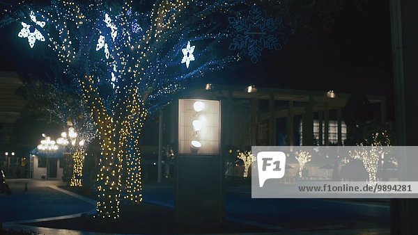 Vereinigte Staaten von Amerika USA Nacht Baum Beleuchtung Licht Weihnachten Dekoration Kalifornien Los Angeles