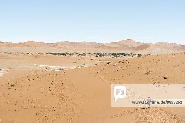 Namibia  Namib Desert  Namib Naukluft Park  Sossusvlei  man walking through the desert